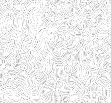 Topographic Map Seamless Pattern. Vector Background