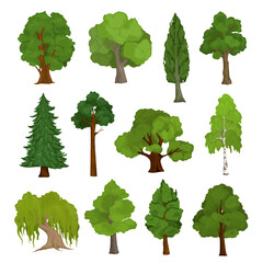 Tree Isolated Species Set