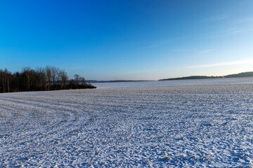 winter season with snowdrifts after snowfall