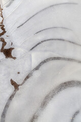 a thick layer of ice formed on the territory of the field