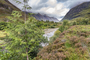 Brooding clouds hanging over the River Coe in the valley of Glencoe, site of the massacre in 1692, Highland, Scotland UK