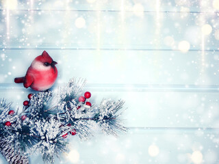 winter background with fir branches cones and snow