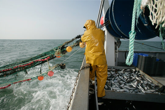p&ecirc;che en mer, chalutier