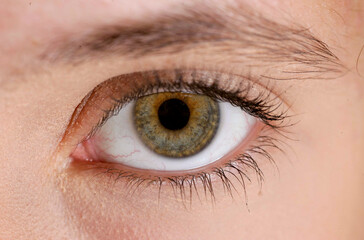 oeil