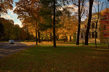 Naklejka premium _DSC20211002Pl3
