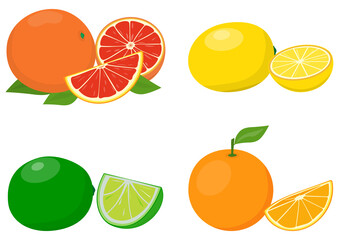 Fresh whole and sliced citrus fruits. Oranges, lemons, lime, grapefruit. Vector illustration.