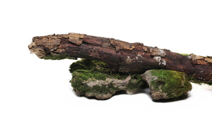 Green moss on rotten branch and stone isolated on white, side view