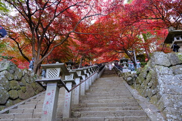 Fototapeta na wymiar 日本の燃えるような秋の紅葉