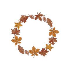 Autumn fallen leaves wreath vector illustration isolated on white. Boho forest leaf litter round frame. Botanical fall arrangement for Halloween or Thanksgiving Day.