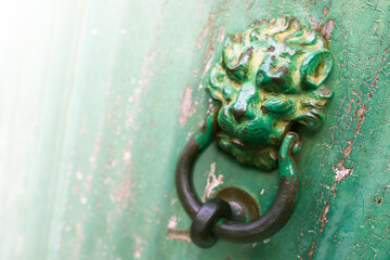 Lion Head Door Knocker with Soft Background