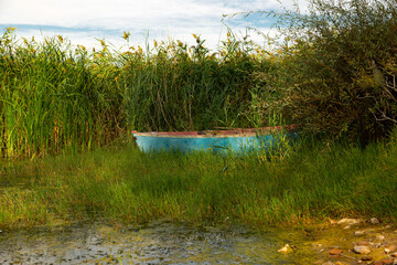 reeds and blue boat by the lake