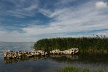 reeds and white rocks by the lake