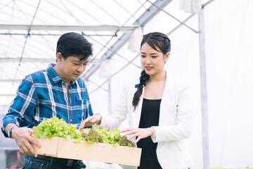 Naklejka premium Hydroponic vegetable farmers and business woman discuss in the vegetable plantation. Man and woman farmer holding basket with fresh harvest of vegetables in greenhouse.