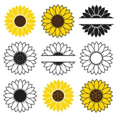 vector sunflower icons