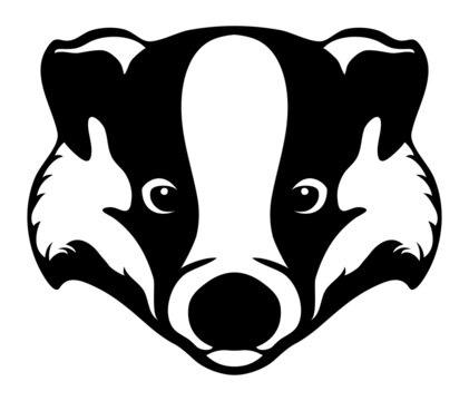 vector forest badger head