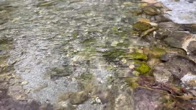 Ruscello