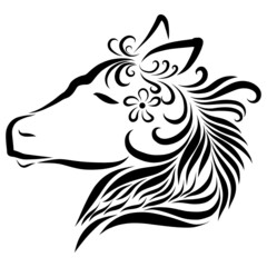 Beautiful donkey flower head pony horse with long creative and graceful and elegant curly fluffy mane black color