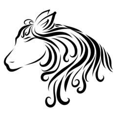 Beautiful head donkey pony horse with long creative and graceful and elegant curly mane flowing lines in black