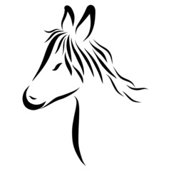 donkey head with ears up and black mane