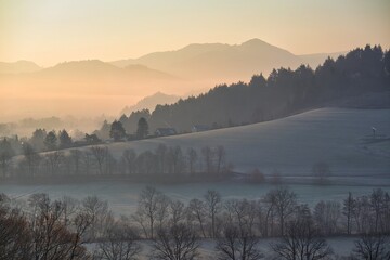 Frostiger Morgen im Schwarzwald