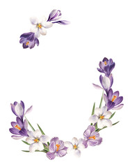 Fototapeta premium watercolor floral frames, l illustration