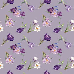watercolor  floral seamless pattern, spring flowers: violet, blue and white crocuses, botanical illustration