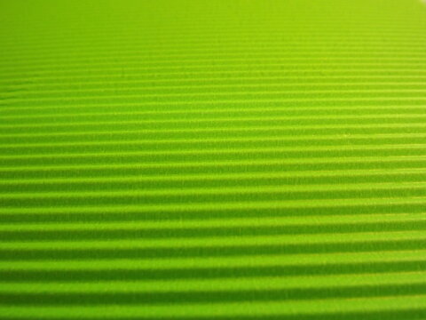 green background with longitudinal stripes as an abstraction. High quality photo