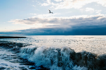 Big sea wave with foam during a storm. The bird flies low over the sea.