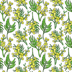 Spring floral vector pattern with branches of bright yellow and green mimosa collection, texture for postcards, scrapbooking, web design, textures for fabrics, paper.