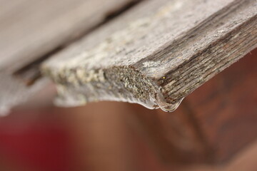 A drop of melt water on an old wooden board