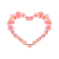 Cherry blossom watercolor heart frame on white background with place for text
