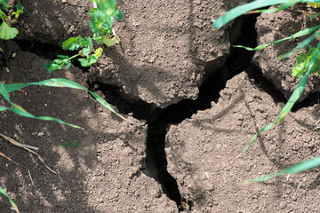 Crack soil on dry season, Global worming effect.