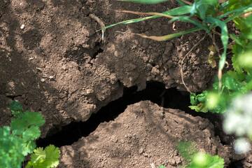 Crack soil on dry season, Global worming effect.