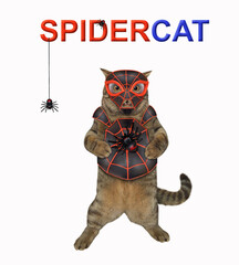 A beige cat is wearing a spider costume. Spidercat. White background. Isolated. - 488038992
