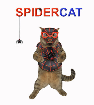 A beige cat is wearing a spider costume. Spidercat. White background. Isolated.