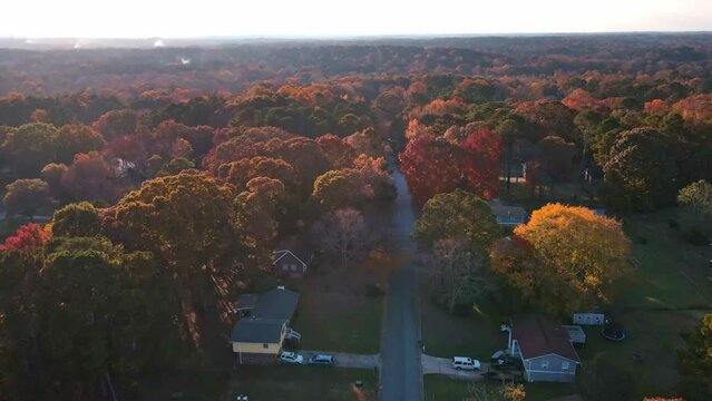 Pretty aerial flight down suburban street with gorgeous fall colors autumn