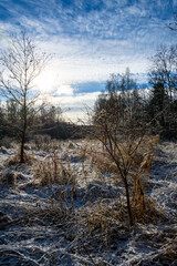 Naklejka na ściany i meble Landscape in the frost of the morning