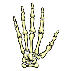 Cartoon Skeleton Hand Gesture Illustration Vector for Halloween