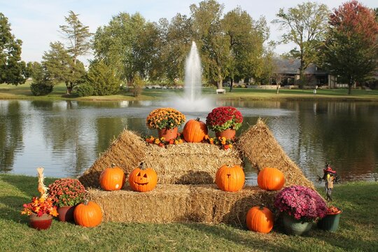 Halloween pumpkin carving