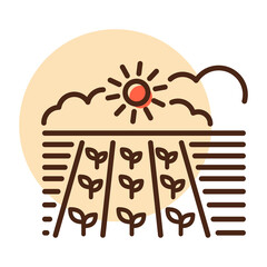 Spring field. Seedling. Green plants, organic farm