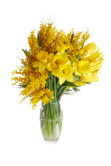 Mimosa, daffodil and tulip flowers bouquet on white background. Easter, Mothers Day, Women's day concept