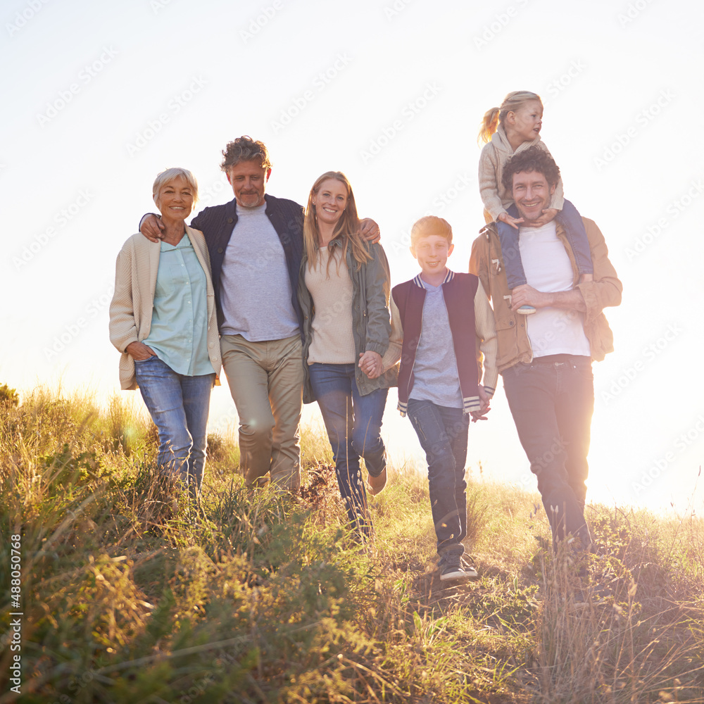 Poster Spending an afternoon with the people who matter most. Full length portrait of a happy multi-generational family on an afternoon walk.