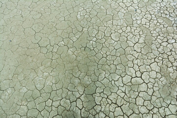 The ground is cracked and dry