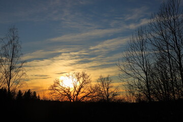 Fototapeta premium Another beautiful Swedish sunset. During the winter. Dark silhouettes of trees in front of the photo. Very vivid horizon. Stockholm, Sweden.