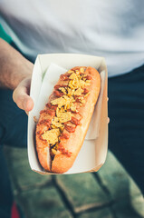 Freshly prepared hotdogs in a paper box in a hand. Food delivery concept. - 488053717