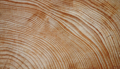 background texture of old wood surface