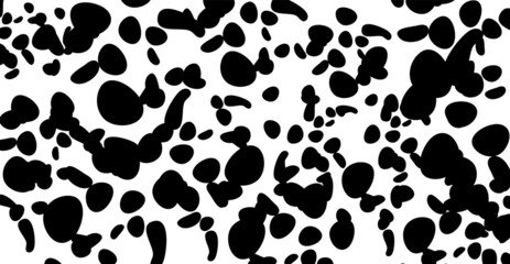 Fototapeta na wymiar Dalmatian pattern Cow texture Animal skin template Spot background Vector design illustration Random bovine spots Farm animal textural banner Black chaotic spots isolated on white