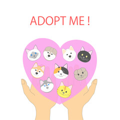 Animal adoption: hands holding cats and dogs