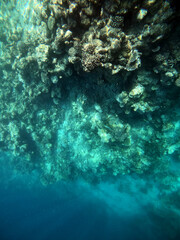 Fototapeta na wymiar A colorful landscape with coral reef in Maldives, Ukulhas. High quality photo.
