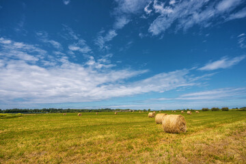 Agricultural field with harvested hay and stacks in summer. Haystacks